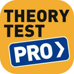 Theory Test Pro